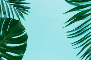 Green flat lay tropical palm leaf branches on cyan blue background. Room for text, copy, lettering.