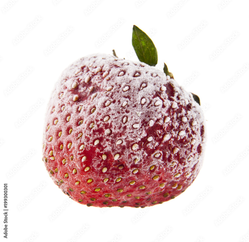 Canvas Prints frozen strawberries isolated on white background