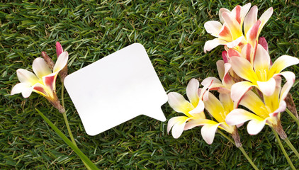 Blank note speech bubble on green grass and flowers.