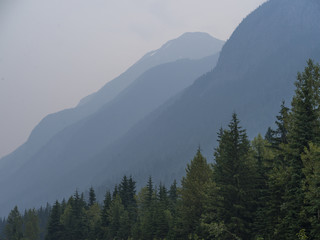 Trees with mountain range in the background, Revelstoke, British Columbia, Canada