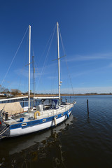Fototapeta premium Frühling am Naturhafen Puddemin