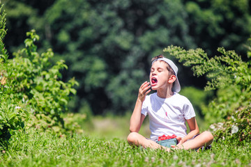Fototapeta premium Portrait of a happy kid throwing berry in his mouth. boy enjoys the taste of raspberries on the farm. Blurred background. Copy space for your text