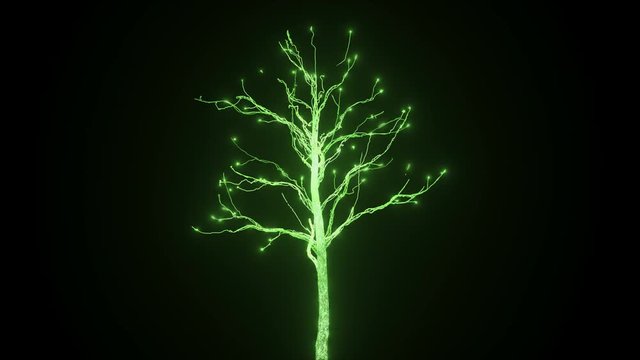 A new life in the form of a growing tree of electrical discharges. In full HD 4K ultra