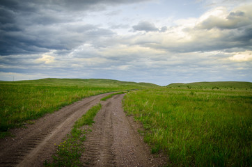 Fototapeta na wymiar Road in the steppe, sky in the clouds