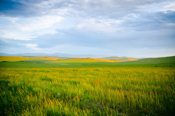 View of the steppe at sunset, grass, hills