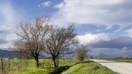 Quiet dirt road in the beautiful Tuscan countryside near Pisa, Italy
