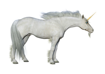 Fototapeta na wymiar 3D Rendering Fairy Tale White Unicorn on White