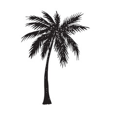 Obraz premium Palm tree silhouette, hand drawn doodle, sketch in pop art style, black and white vector illustration