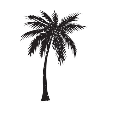 Palm tree silhouette, hand drawn doodle, sketch in pop art style, black and white vector illustration