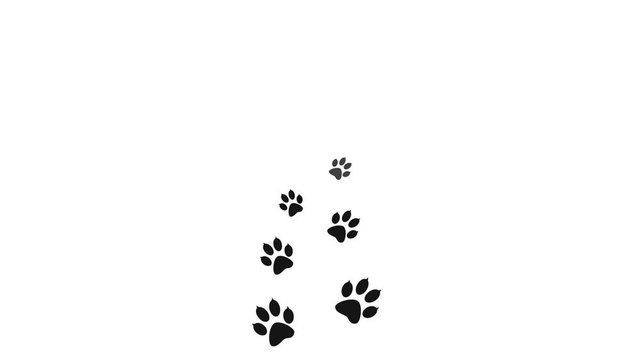Background animal paw prints on a trajectory of movement.  Footprints walking animal on white. Cartoon comic funny paws.   