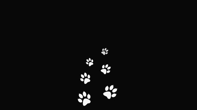 Cartoon comic funny paws along the path.  Footprints walking animal on a trajectory of movement. Background with animal paw prints. 