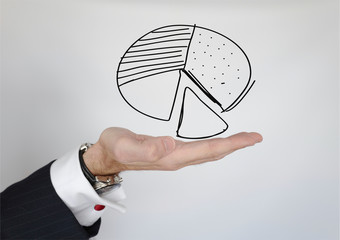 statistiques camembert main a gauche