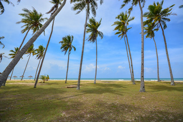 Obraz premium Beautiful scenery of tropical beach with blue sky background.