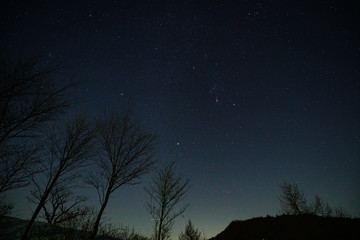 Fototapeta premium オリオン座