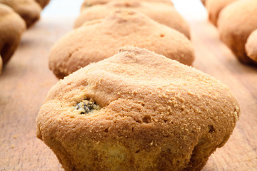 Muffins with raisins. Background