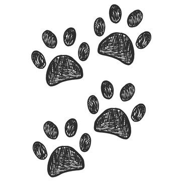 Black doodle paw prints steps