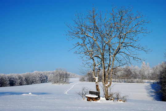  Winterlandschaft auf der Schwäbischen Alb auf dem Filsenberg