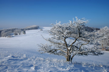 Winterlandschaft auf dem Filsenberg, Schwäbische Alb