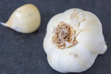 garlic isolated on vintage background
