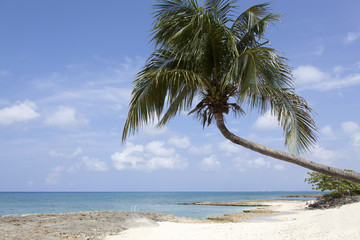 Fototapeta na wymiar Grand Cayman Island Beach