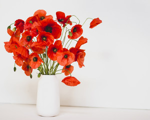 French Red Poppies