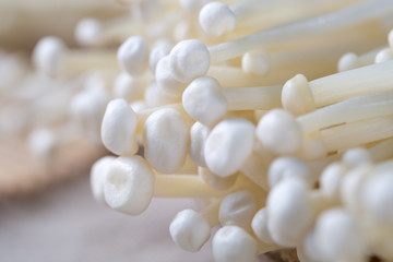 Fototapeta na wymiar Closeup of enoki mushrooms