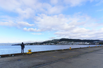 Wellington habour in a beautiful day , capital of New Zealand , North Island of New Zealand © PK4289
