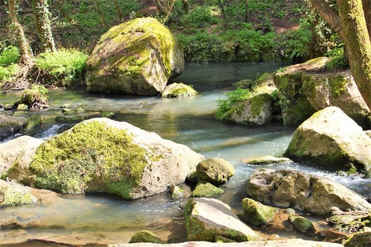 Fiume Treja, Italia