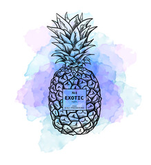 Fashion illustration sketchy style pineapple.Digital vector detailed line art hand drawn retro fruit.Vintage ink flat style, engraved simple doodle sketches. Trendy poster for textile, fabric, web