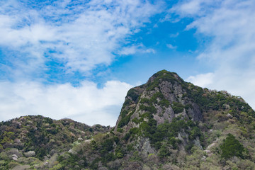 静岡県伊豆の国市　城山