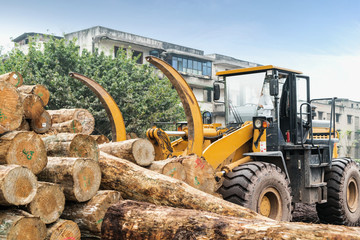 Forklift truck grabs wood in a wood processing plant