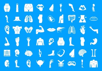 Human body icon blue set vector