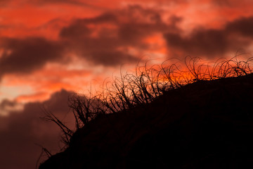 Atardecer Rojo