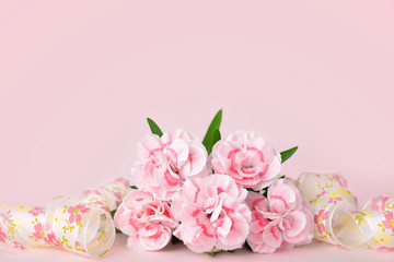 mothers day backgrounds, pink carnations on the pink background