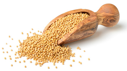 yellow mustard seeds in the wooden scoop, isolated on white - obrazy, fototapety, plakaty
