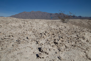 Dry desert landscape with mountains in background, Nevada USA