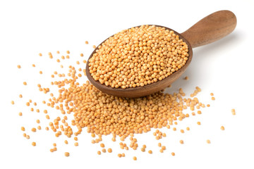 yellow mustard seeds in the wooden spoon, isolated on white