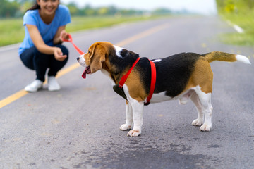 Girl outdoors on road with her dog