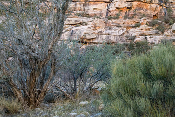 Red Rock Canyon, Nevada, USA.
