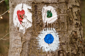 Fototapeta premium Hiking marking on a tree in the woods 