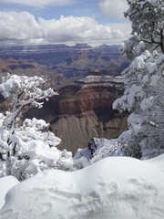 grand canyon in winter