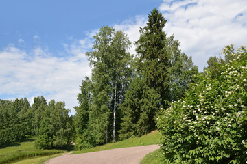 Sandy road in the Park in Pavlovsk