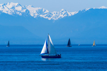Naklejka premium Luxury yachts with the view of Olympic Moutains, Boat in sailing regatta, British Columbia, Canada