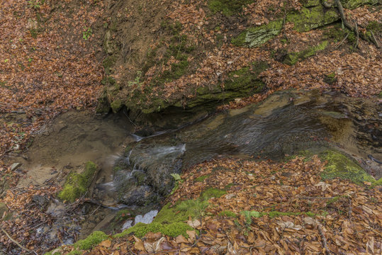 Pulcinsky creek in spring nice morning