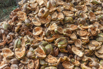 Group of coconut husks used for making floor mats, brushes, mattresses and  are also used for enriching soil. 