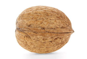 Walnut isolated on a white background
