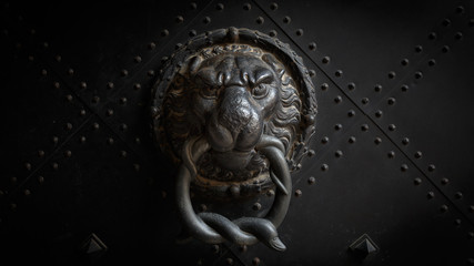 Fototapeta premium Fierce Door Knocker
