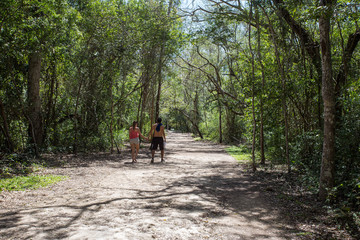 Couple walks in a tropical exotic rain forest on a hot summer day