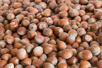 hazelnut concept. hazelnut market.