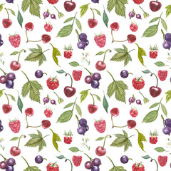 Set of hand drawn berries isolated on white background. Blackcurrant, cherry, raspberry. Watercolor hand drawn sketch berries. Seamless pattern.